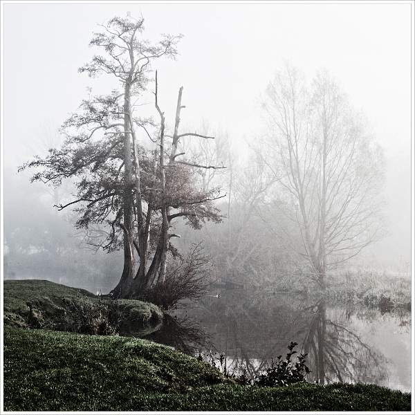 Tranquil River Bank.jpg